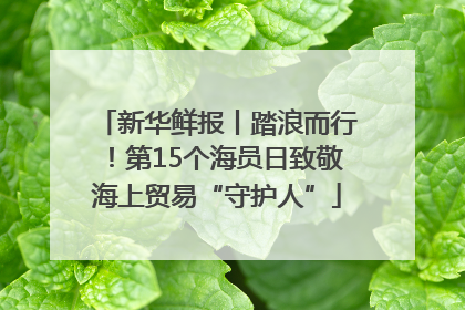 新华鲜报丨踏浪而行！第15个海员日致敬海上贸易“守护人”