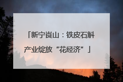 新宁崀山：铁皮石斛产业绽放“花经济”