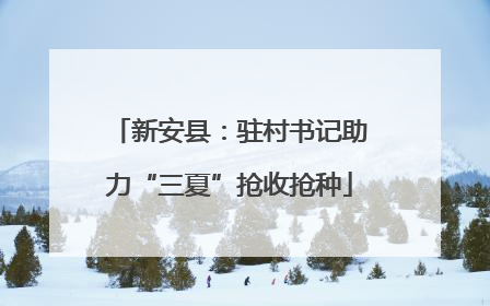 新安县：驻村书记助力“三夏”抢收抢种