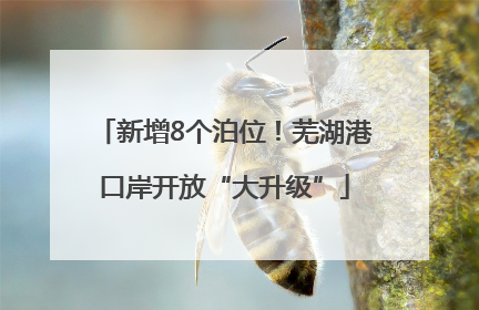新增8个泊位！芜湖港口岸开放“大升级”