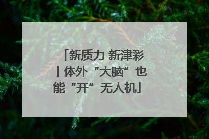 新质力 新津彩丨体外“大脑”也能“开”无人机
