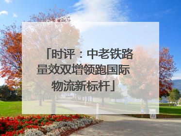 时评：中老铁路量效双增领跑国际物流新标杆