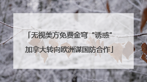 无视美方免费金穹“诱惑” 加拿大转向欧洲谋国防合作