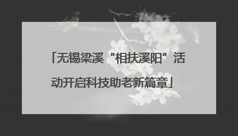 无锡梁溪“相扶溪阳”活动开启科技助老新篇章
