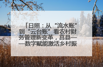 日照：从“流水账”到“云台账”看农村财务管理新变革，莒县——数字赋能激活乡村振兴“一池春水”