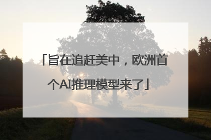 旨在追赶美中，欧洲首个AI推理模型来了