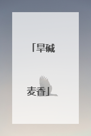 旱碱麦香