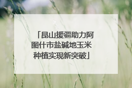 昆山援疆助力阿图什市盐碱地玉米种植实现新突破