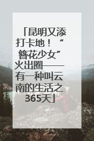 昆明又添打卡地！“簪花少女”火出圈——有一种叫云南的生活之365天