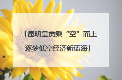 昆明呈贡乘“空”而上 逐梦低空经济新蓝海