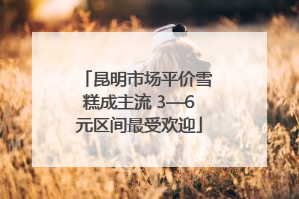 昆明市场平价雪糕成主流 3—6元区间最受欢迎