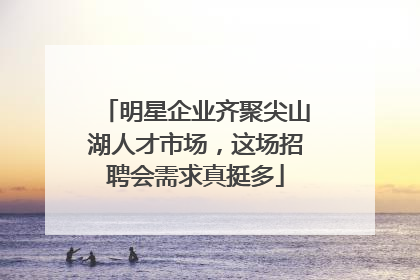 明星企业齐聚尖山湖人才市场，这场招聘会需求真挺多