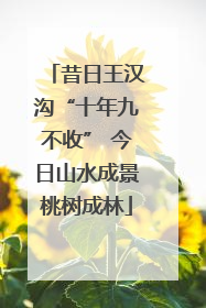 昔日王汉沟“十年九不收” 今日山水成景桃树成林