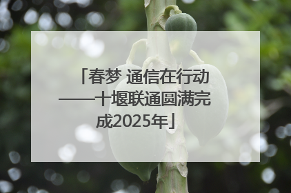 春梦 通信在行动——十堰联通圆满完成2025年