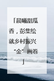 晨曦甜瓜香，彭集绘就乡村振兴“金”画卷