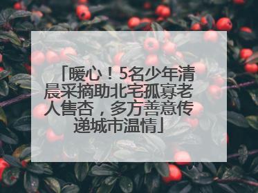 暖心！5名少年清晨采摘助北宅孤寡老人售杏，多方善意传递城市温情