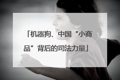 机器狗、中国“小商品”背后的司法力量