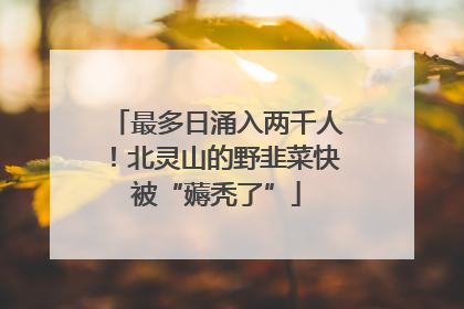 最多日涌入两千人！北灵山的野韭菜快被“薅秃了”