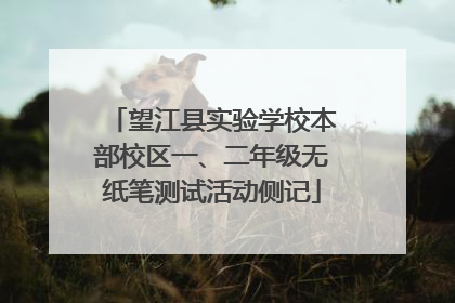 望江县实验学校本部校区一、二年级无纸笔测试活动侧记