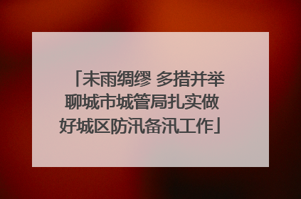 未雨绸缪 多措并举 聊城市城管局扎实做好城区防汛备汛工作
