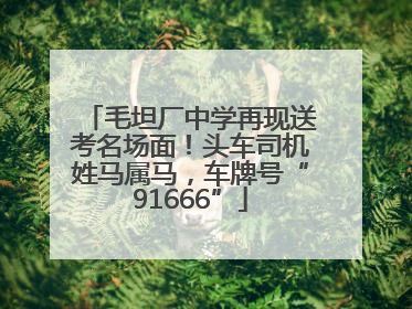 毛坦厂中学再现送考名场面！头车司机姓马属马，车牌号“91666”