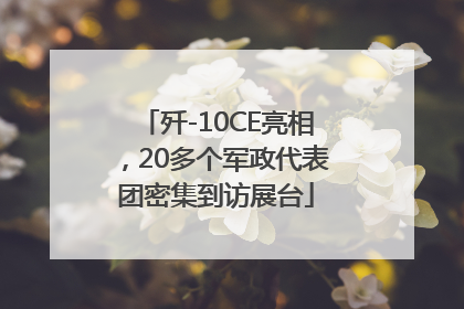 歼-10CE亮相，20多个军政代表团密集到访展台