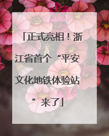 正式亮相！浙江省首个“平安文化地铁体验站”来了