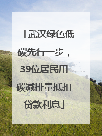 武汉绿色低碳先行一步，39位居民用碳减排量抵扣贷款利息