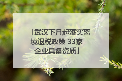 武汉下月起落实离境退税政策 33家企业具备资质