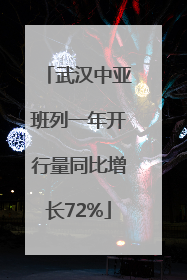 武汉中亚班列一年开行量同比增长72%