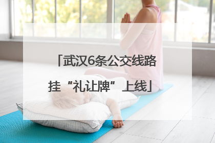武汉6条公交线路挂“礼让牌”上线