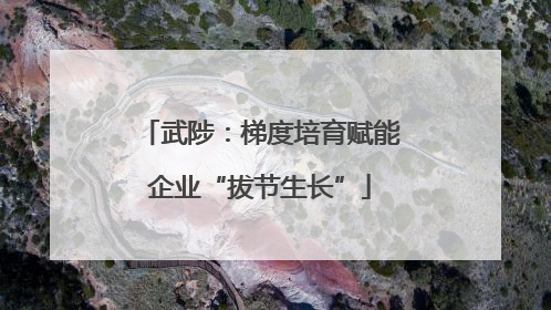 武陟：梯度培育赋能企业“拔节生长”