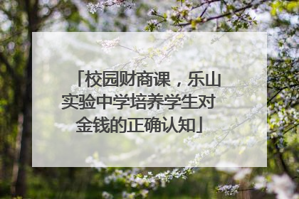 校园财商课，乐山实验中学培养学生对金钱的正确认知