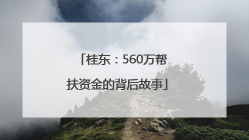 桂东：560万帮扶资金的背后故事
