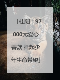 桂阳：97000元爱心善款 托起少年生命希望