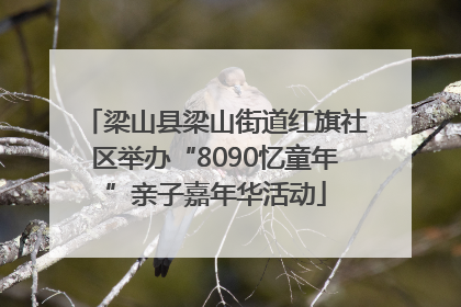 梁山县梁山街道红旗社区举办“8090忆童年”亲子嘉年华活动