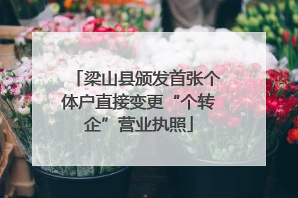 梁山县颁发首张个体户直接变更“个转企”营业执照