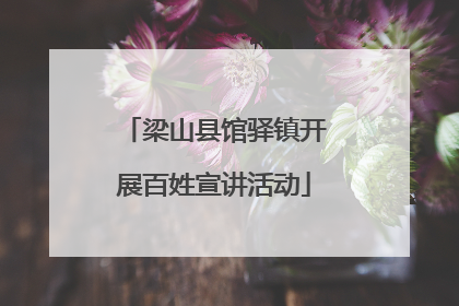 梁山县馆驿镇开展百姓宣讲活动