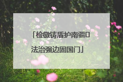 检徽铸盾护南疆 法治强边固国门