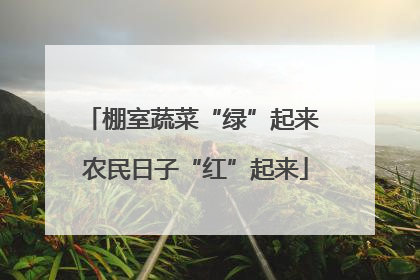 棚室蔬菜“绿”起来 农民日子“红”起来