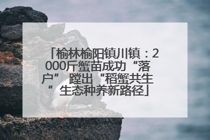 榆林榆阳镇川镇：2000斤蟹苗成功“落户” 蹚出“稻蟹共生”生态种养新路径