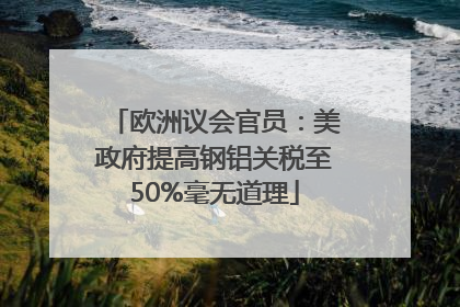 欧洲议会官员：美政府提高钢铝关税至50%毫无道理