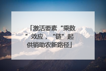 激活要素“乘数”效应，“链”起供销助农新路径