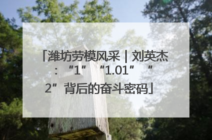 潍坊劳模风采｜刘英杰：“1”“1.01”“2”背后的奋斗密码