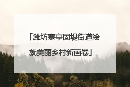 潍坊寒亭固堤街道绘就美丽乡村新画卷
