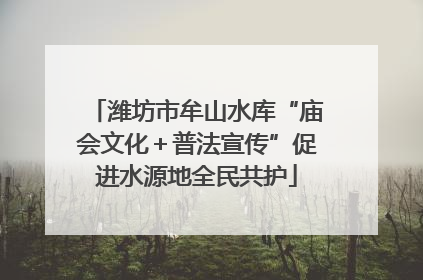 潍坊市牟山水库“庙会文化＋普法宣传”促进水源地全民共护