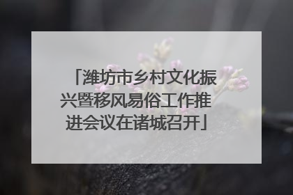 潍坊市乡村文化振兴暨移风易俗工作推进会议在诸城召开