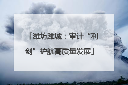 潍坊潍城：审计“利剑”护航高质量发展
