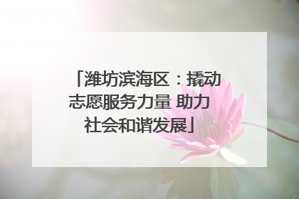潍坊滨海区：撬动志愿服务力量 助力社会和谐发展