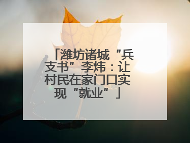 潍坊诸城“兵支书”李炜：让村民在家门口实现“就业”